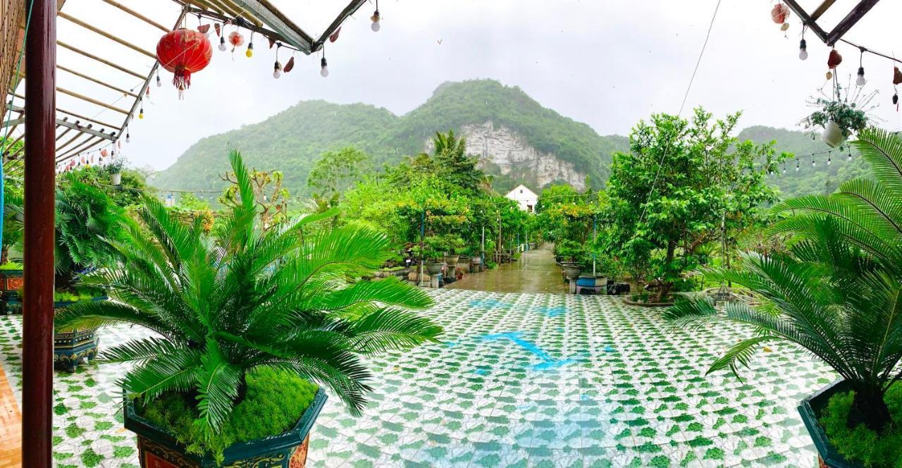 Hills Cat Ba Lodge *